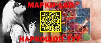 шишки Обнинск