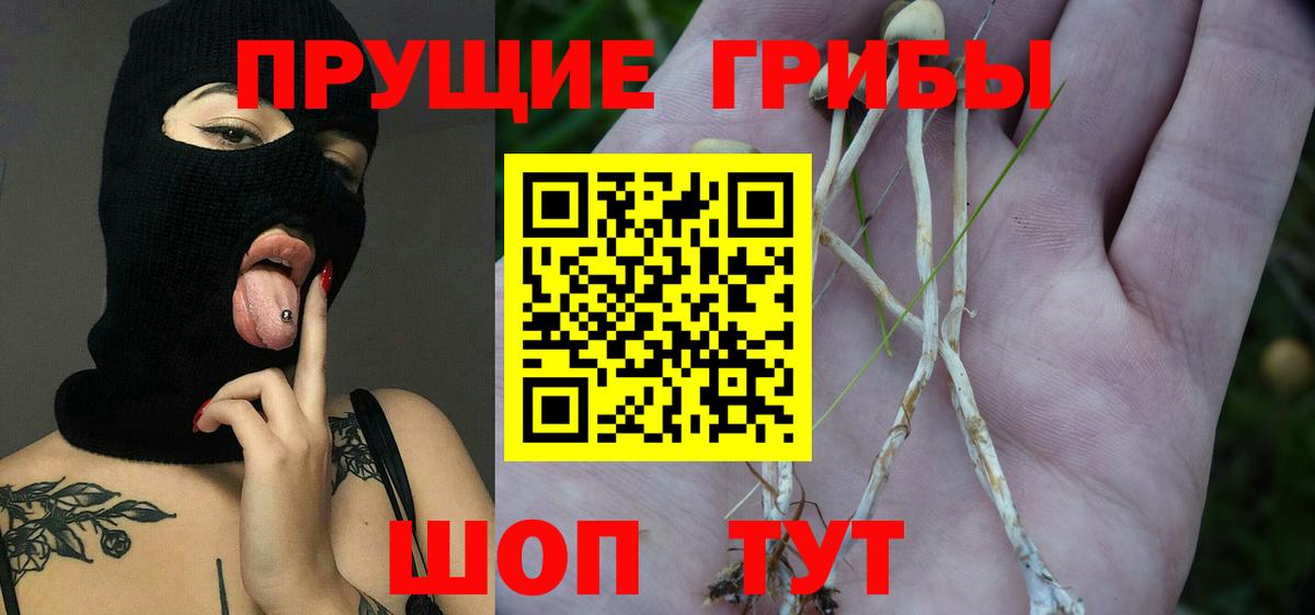 Псилоцибиновые грибы Cubensis  наркошоп  Вход с VPN  Ростов-на-Дону  Псилоцибиновые грибы мицелий 